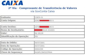 O Que é TEV, Qual a Diferença do TED? - Valor Financeiro