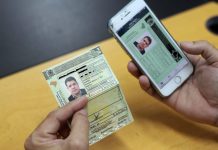 Aprenda como gerar a CNH Digital sem precisar sair de casa e ir ao Detran