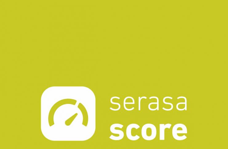 Aprenda como consultar o seu Serasa Score no celular