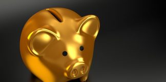 Confira esse passo a passo para investir dinheiro sendo iniciante em finanças